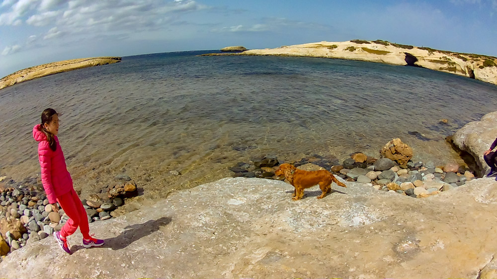 Spiagge per cani Sardegna