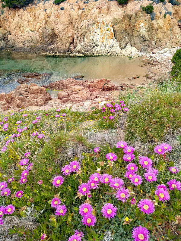 Spiaggia La Marinedda