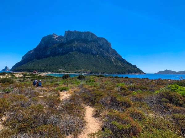 ISOLA DI TAVOLARA