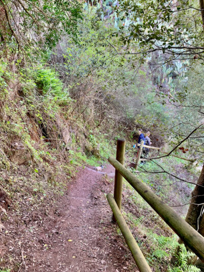 PERCORSO SENTIERO CASCATA DI TRIULINTAS